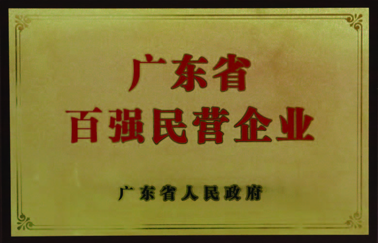 廣東省百強(qiáng)民營(yíng)企業(yè)